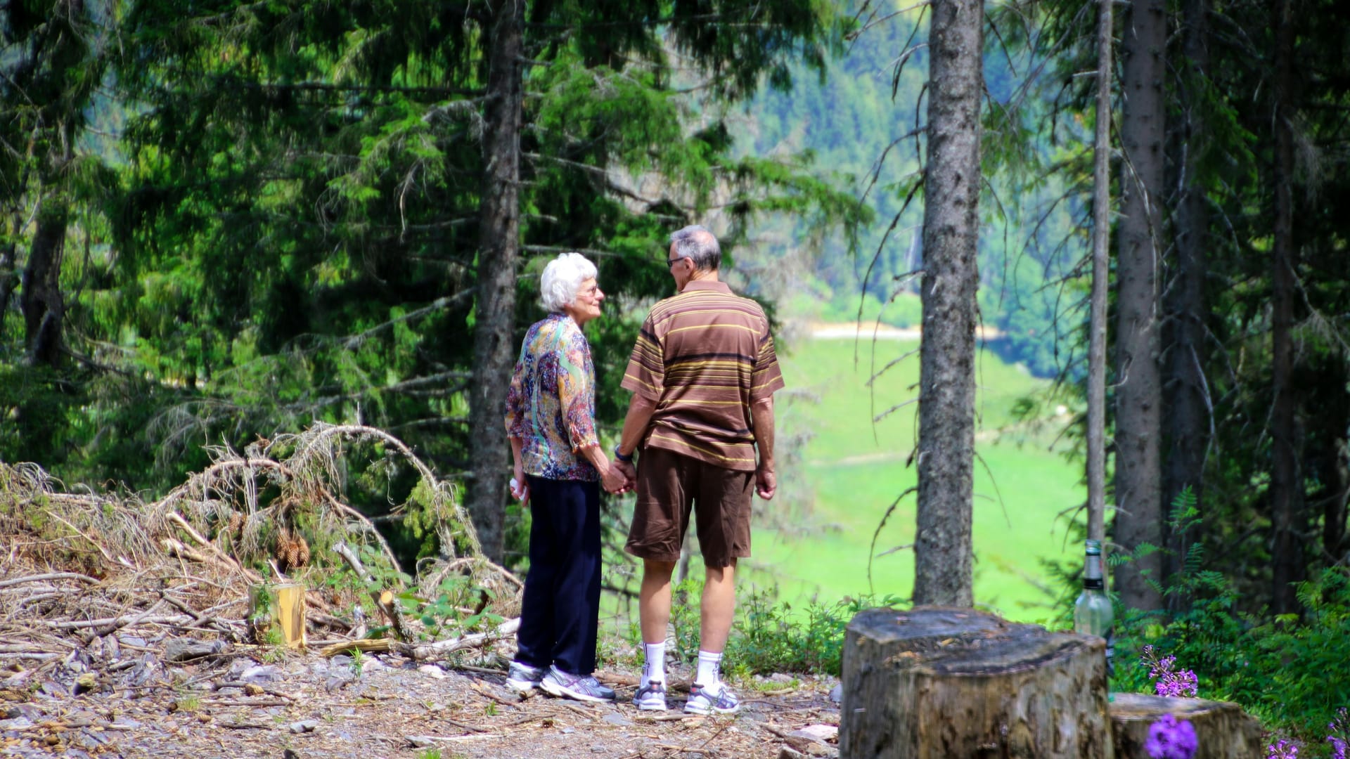 A senior couple holding hands on a forest trail overlooking a green valley