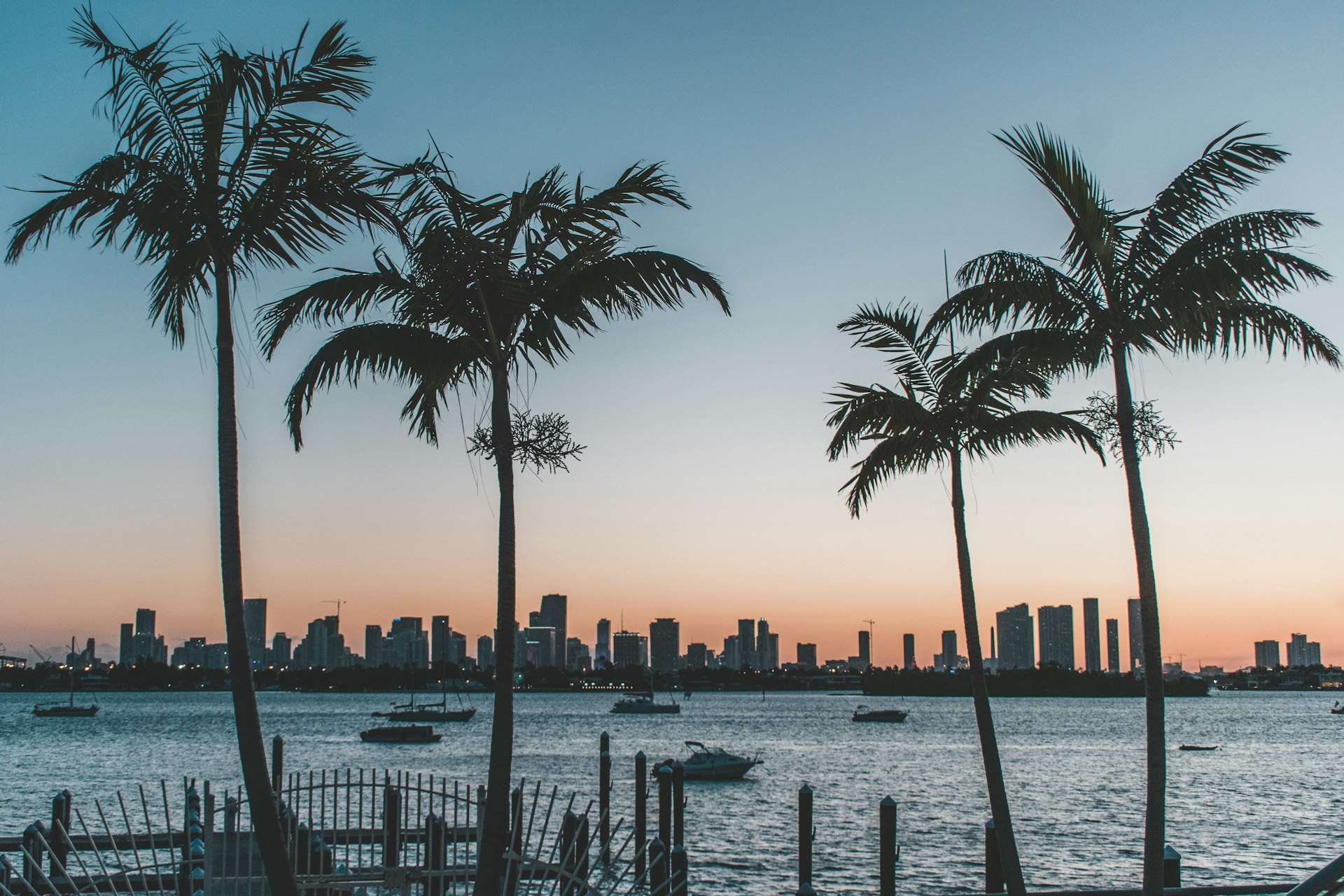 Palm trees silhouetted against a sunset over the water, with the Miami skyline behind